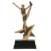 Cheer Star Resin