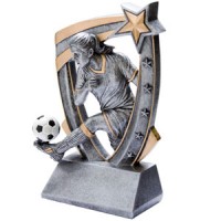 3D Star Soccer Resin